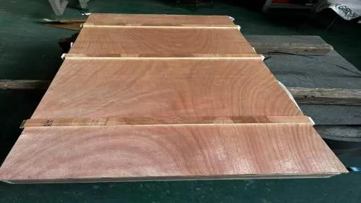 info-510-287 info-510-287